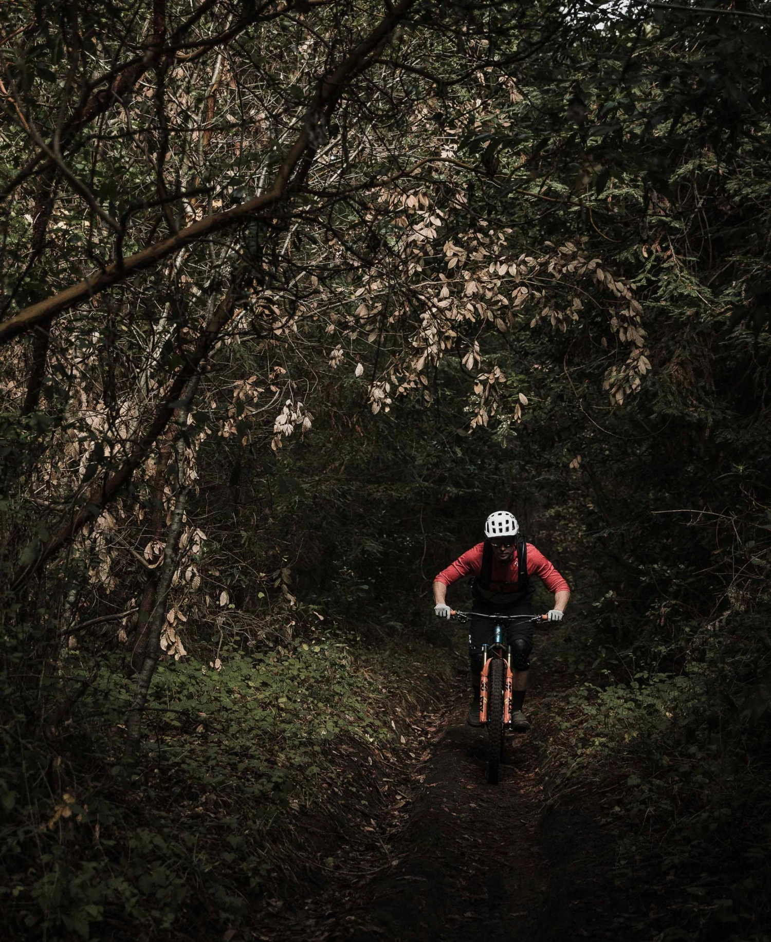 POC Resistance Enduro Glove