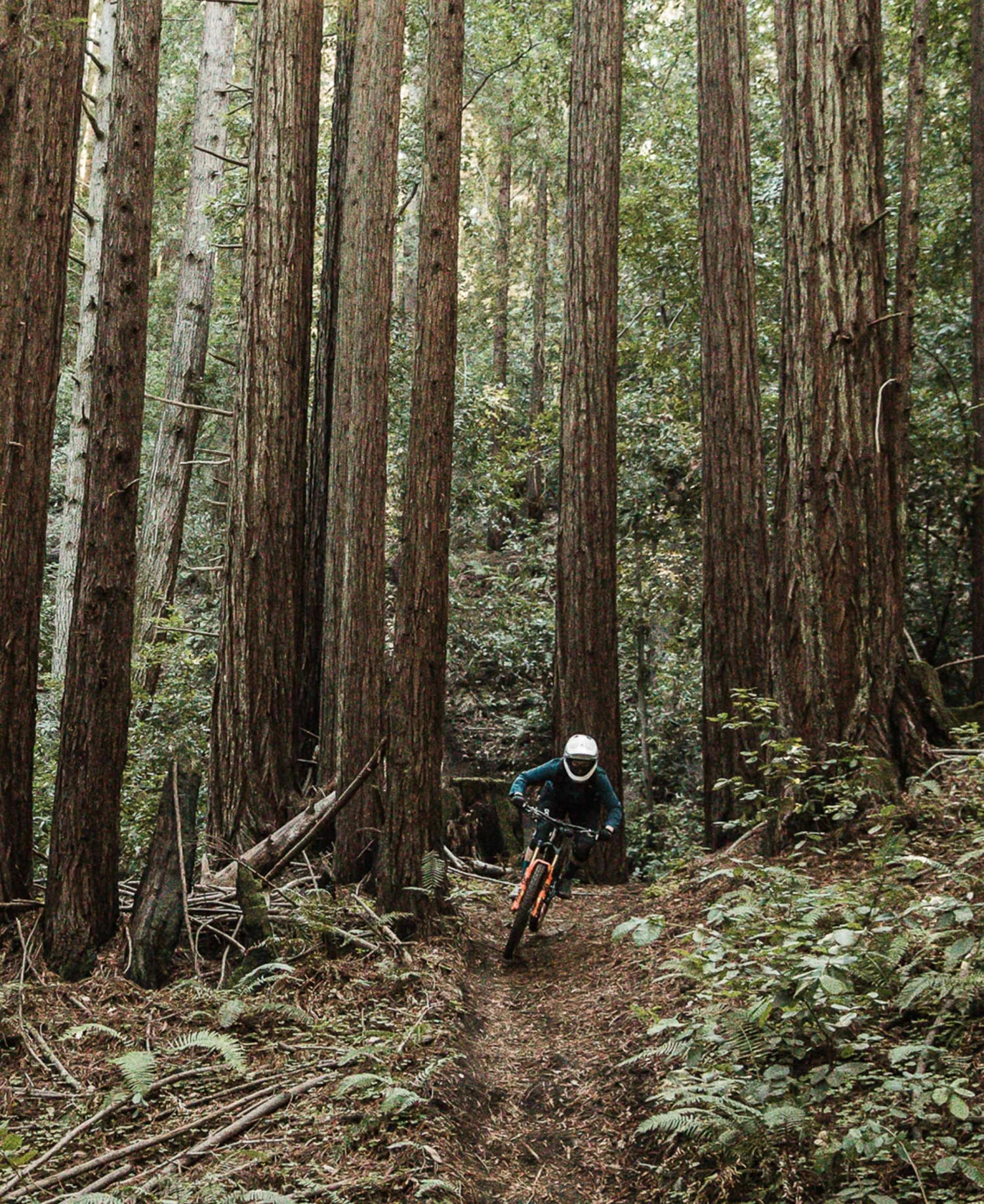 POC Resistance Pro DH Glove