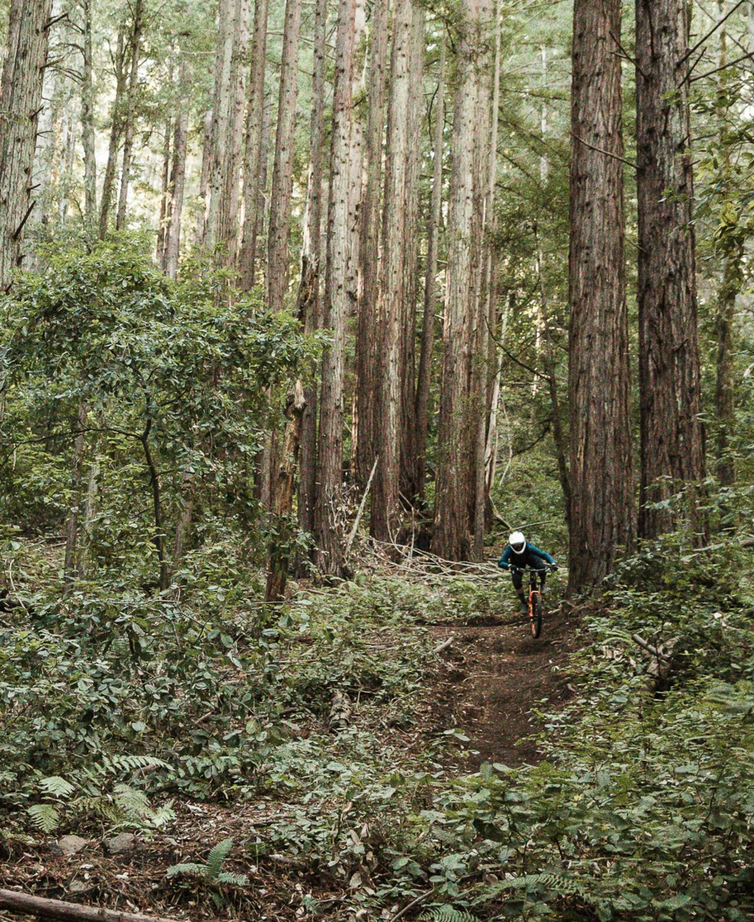 POC Resistance Women's 3/4 Jersey Apparel